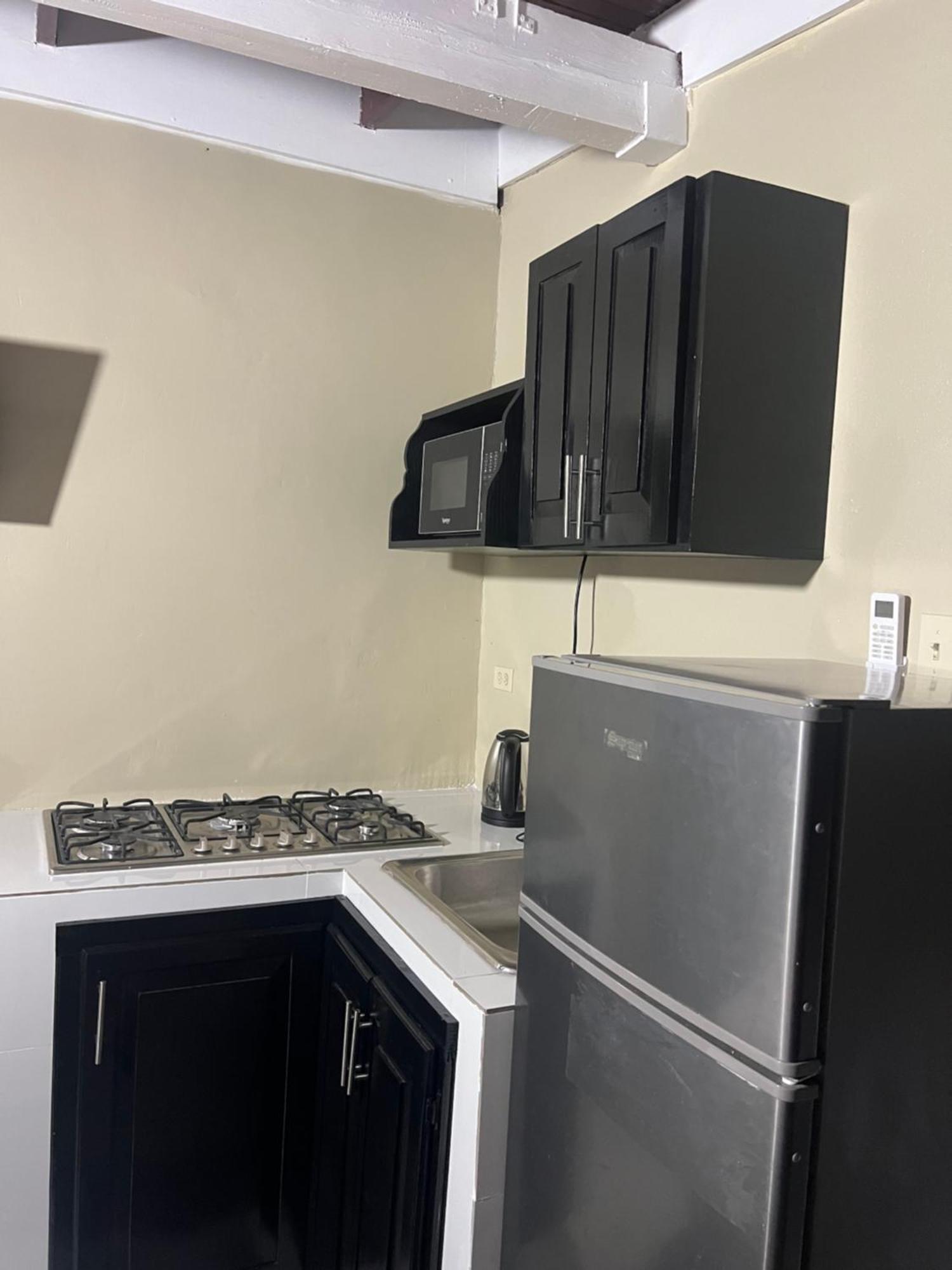 Apartment Cozy Kingston